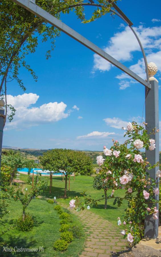 Villa D'Andrea กัลตาจีโรเน ภายนอก รูปภาพ
